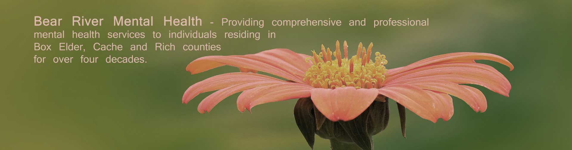 Bear River Mental Health Providing Service for Decades -learn more here